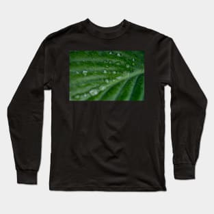 Water droplets on Hosta leaf Long Sleeve T-Shirt